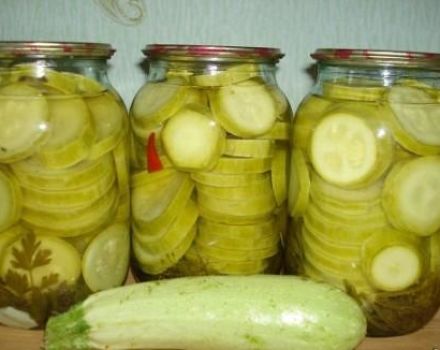 Omedelbara recept på krispig saltad zucchini på 5 minuter