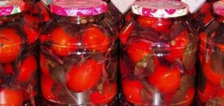 Recepti za kisele rajčice s bosiljkom za zimu