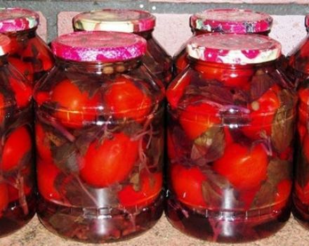 Recept för betning av tomater med basilika för vintern