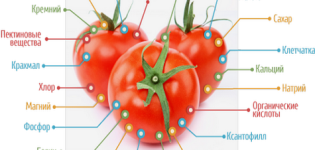 Kokių vitaminų yra pomidoruose ir kuo jie naudingi?