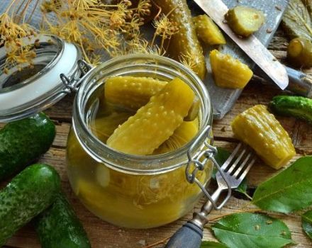 6 skanūs traškių marinuotų agurkų receptai žiemą stiklainiuose