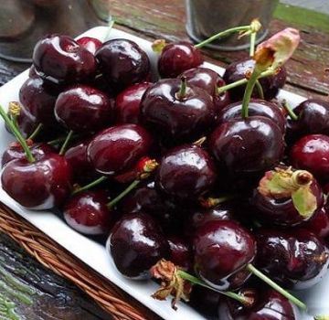 Descrizione e caratteristiche della varietà di ciliegie Dyber, semina e cura