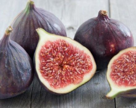 9 geriausios figų rinkimo žiemai receptai namuose