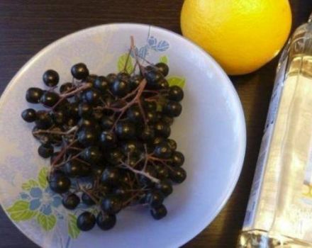 5 рецепата за прављење џема од боровнице са наранџама