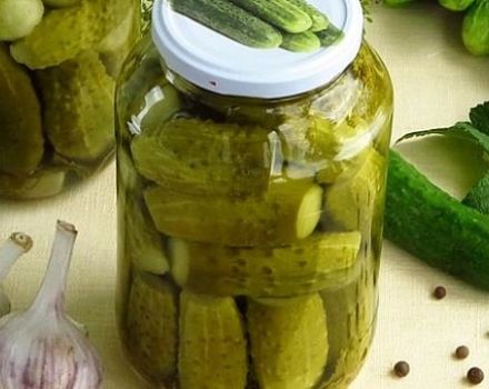 TOP 15 recepten voor het beitsen van komkommers met citroenzuur voor de winter in potten van 1-3 liter