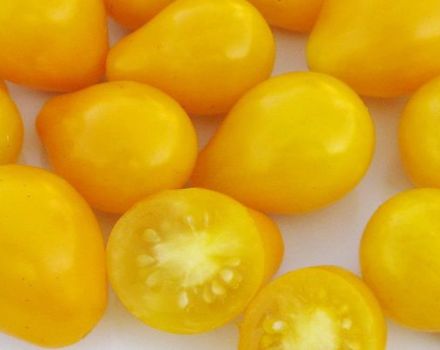 Beschrijving van de variëteit aan tomaten Golden Drop en Bifseller roze f1