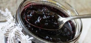 TOP 6 simple recipes for blackcurrant jam for the winter