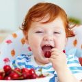 Sundhedsmæssige fordele og skader på kirsebær, kalorieindhold og sammensætning, hvordan man opbevarer et bær