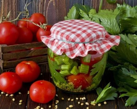 De bästa recepten för inlagda tomater med selleri för vintern och hållbarhetens bevarande