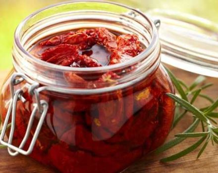 TOPP 17 steg-för-steg-recept för att laga soltorkade tomater för vintern hemma