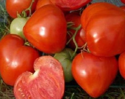 Opis a vlastnosti rajčiaka Morning Dew