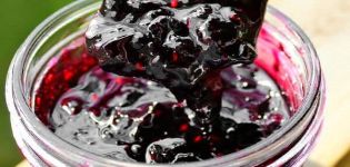 TOP 2 recepten voor zwarte en rode bessenjam met kersenblaadjes