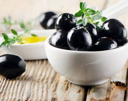 Beskrivning och egenskaper för de bästa sorterna av oliver, hur man väljer i butiken
