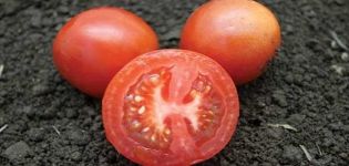 Beschrijving van de tomatenvariëteit Sneeuwwitje, zijn kenmerken, aanplant en verzorging