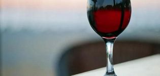 TOP 6 receptai gaminant vyną iš razinų namuose