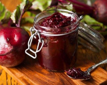 TOP 8 delicious recipes for pickled beets for cold borscht for the winter