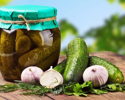 Stapsgewijs recept voor ingelegde komkommers in het Hongaars voor de winter