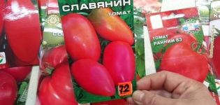 Slavyanin domates çeşidinin tanımı, yetiştirme ve bakım özellikleri