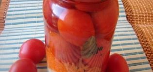Labākās receptes konservētiem tomātiem ar burkāniem ziemai