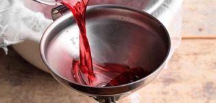 6 enkla recept för att göra rabarbervin hemma