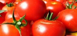 Pomidorų veislės Gunin aprašymas, derlius, auginimo ypatybės