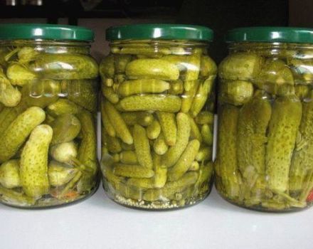 TOP 13 recepten voor het beitsen van knapperige komkommers voor de winter in potten zonder azijn
