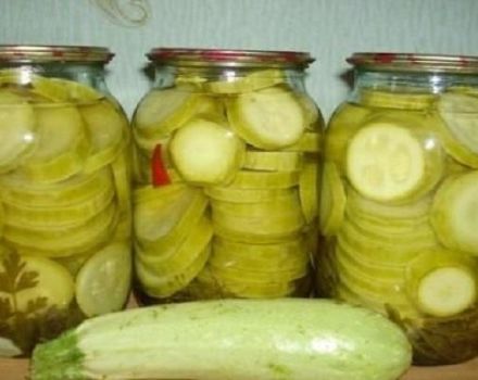 Det bästa receptet för matlagning av zucchini i din egen juice för vintern