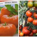 Description of the Mona Lisa tomato variety and its characteristics