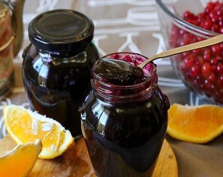 9 paprasti receptai, kaip gaminti juodųjų serbentų želė žiemai