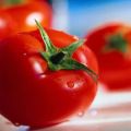 Beskrivelse af tomatsorten Ksenia f1, dens egenskaber og dyrkning