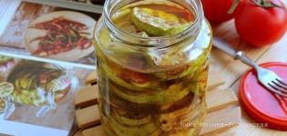 Ett läckert recept på bakad zucchini för vintern hemma