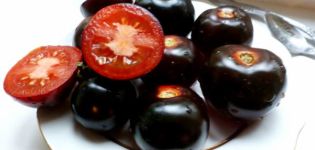 Egenskaper och beskrivning av variationen av tomat Indigo Rose