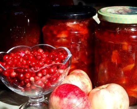 Ett enkelt recept för lingonberry sylt med äpplen för vintern