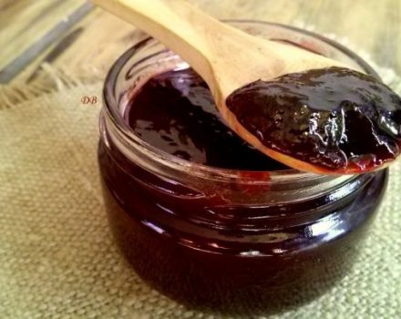 A simple recipe for making plum jam for the winter at home