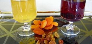 8 enkla recept för att tillverka torkat fruktvin hemma