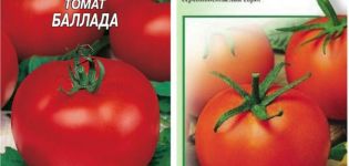 Descripción de la variedad de tomate Ballada y sus características