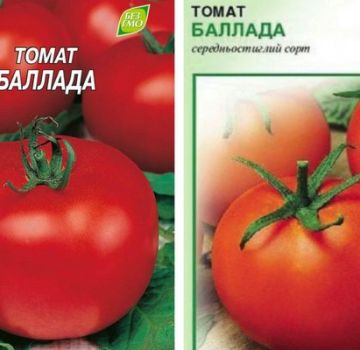 Descrizione della varietà di pomodoro Ballada e delle sue caratteristiche