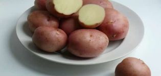 Περιγραφή της ποικιλίας πατάτας Romano, χαρακτηριστικά καλλιέργειας και φροντίδας