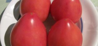 Kenmerken en beschrijving van het tomatenras Fatima