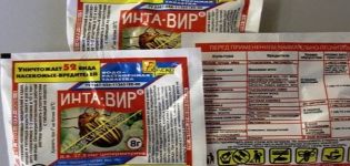 Norādījumi par zāļu Intavir lietošanu pret Kolorādo kartupeļu vaboļu