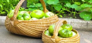 Descripción y características de las variedades de tomate verde.
