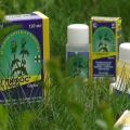 Instructies voor het gebruik van het herbicide Glyphos tegen onkruid