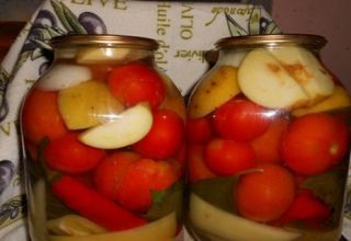 Opskrifter på konserves med tomater med æbler til vinteren slikker du fingrene