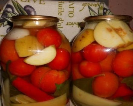 Recetas para enlatar tomates con manzanas para el invierno te lamerás los dedos.