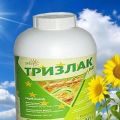 Instructies voor het gebruik van het herbicide Trizlak, consumptiesnelheden en analogen