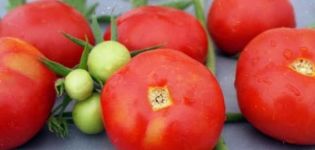 Beschreibung der Tomatensorte Otradny und ihrer Eigenschaften