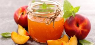 TOP 9-recept för matlagning av persikpuré för vintern hemma