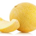 Description of the honey melon variety, recommendations for growing and care