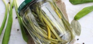 9 receptov krok za krokom na výrobu nakladaného divého cesnaku na zimu doma
