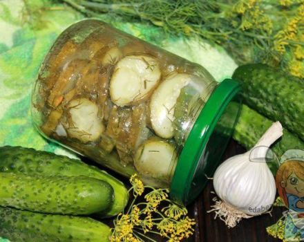 De bästa recepten för inlagda gurkor med vitlök för vintern och deras förvaring